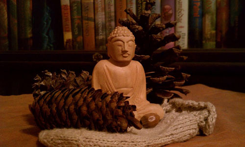 121120buddhapinecones