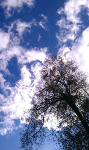 248245_122683201225078_2121057281_n