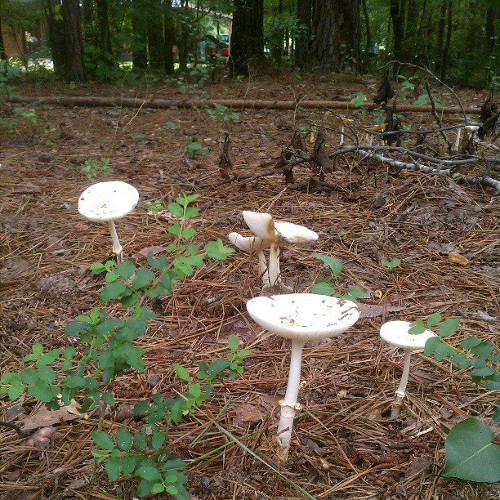 36576_198310833662314_1002114898_n