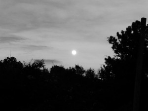 1003539_211554569004607_962482349_n