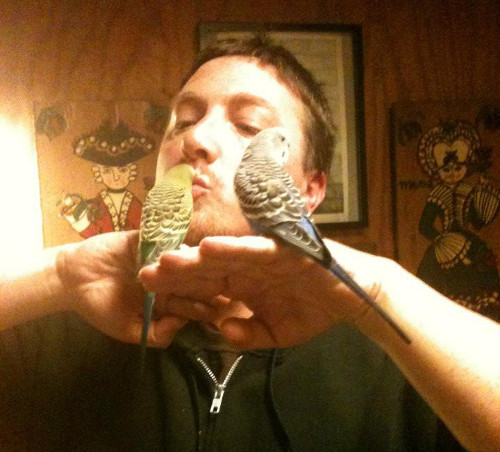 482536_147392585420806_868874902_n