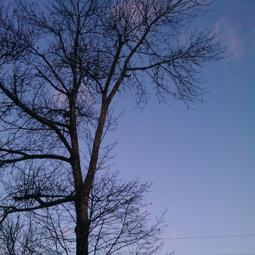 1511912_261810007312396_1141521248_n