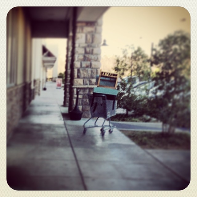 666246548575098131_1437436