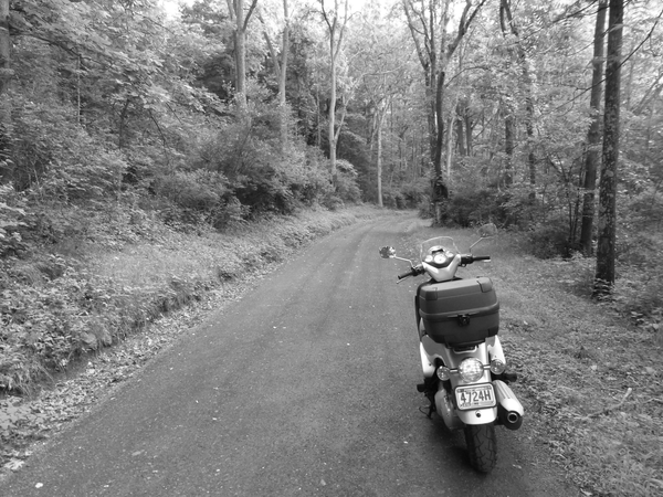 Looking ahead from the start of Big Hollow Road.