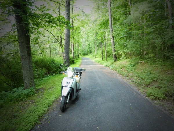 Same spot, looking the other way.