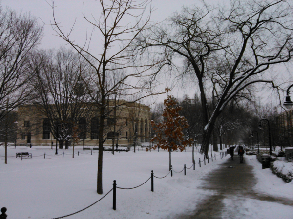 The Penn State campus