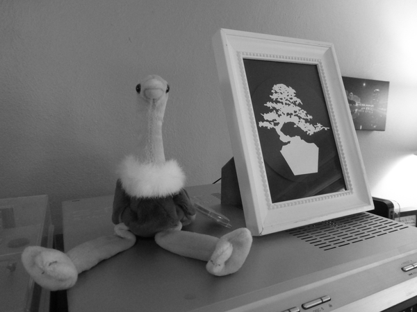 Ostrich Beanie Baby from Nancy Hamilton; bonsai tree image by Abby Massaro